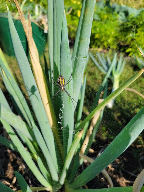 Scenes around the farm this week