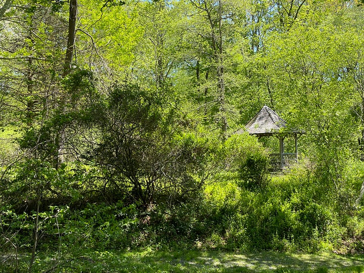 Photographs of an arboretum, featuring trees of different colors, a pond, a dirt footpath and a gazebo shrouded in plants