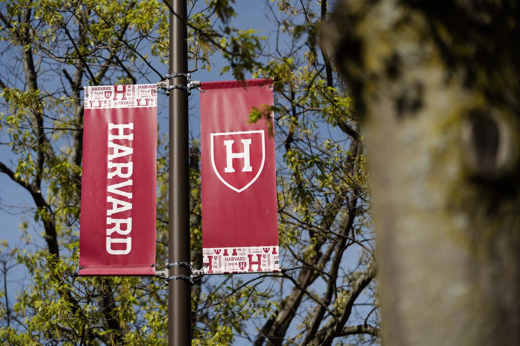A red banner that says "Harvard" hangs from a pole.