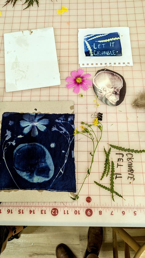 a collection of in progress and finished cyanotypes