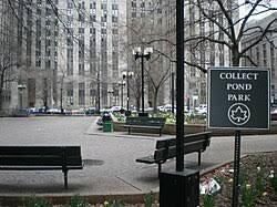 Collect Pond - Wikipedia