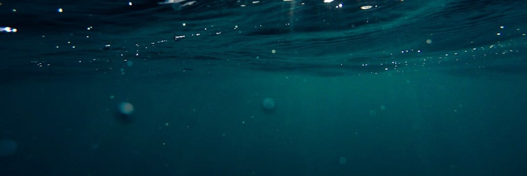 closeup photo of green water formation closeup photo of green water formation