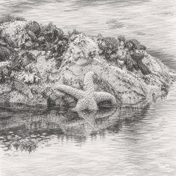 image003.jpg image003.jpg
