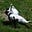 Genocat's avatar