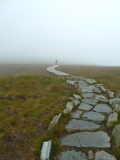 The Broken Path Pictures, Photos, and Images for Facebook, Tumblr, Pinterest, and Twitter