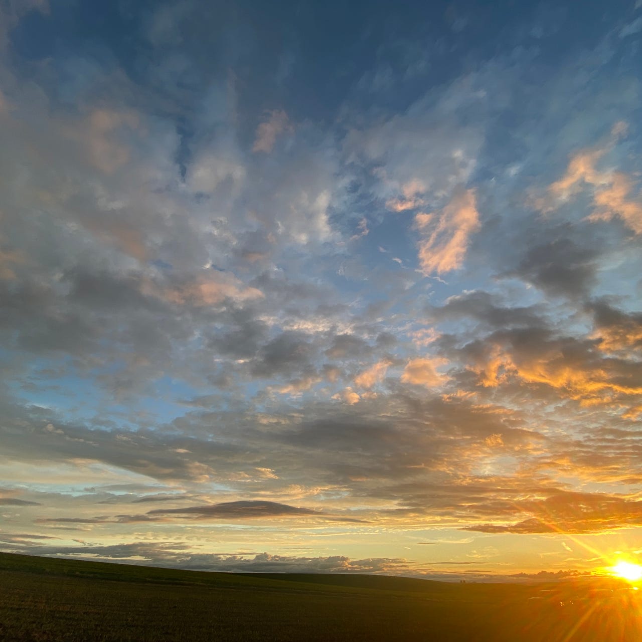 Toward Freedom From Want