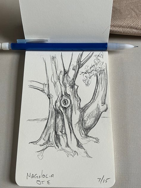 Bringing together multiple DC trees for horizontal composition.
