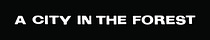 A City in the Forest Film Newsletter
