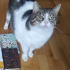 ✋Il mio diario✒️