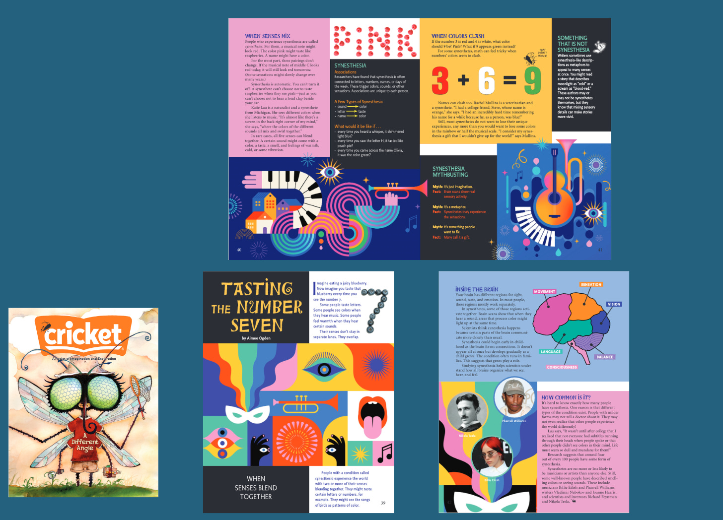 cover of cricket magazine and feature on synesthesia