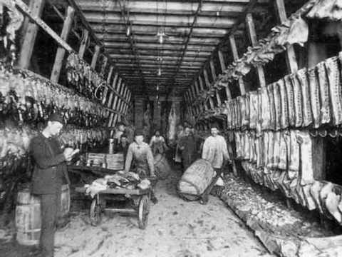 Excerpt from Upton Sinclair&#39;s &quot;The Jungle&quot; - YouTube