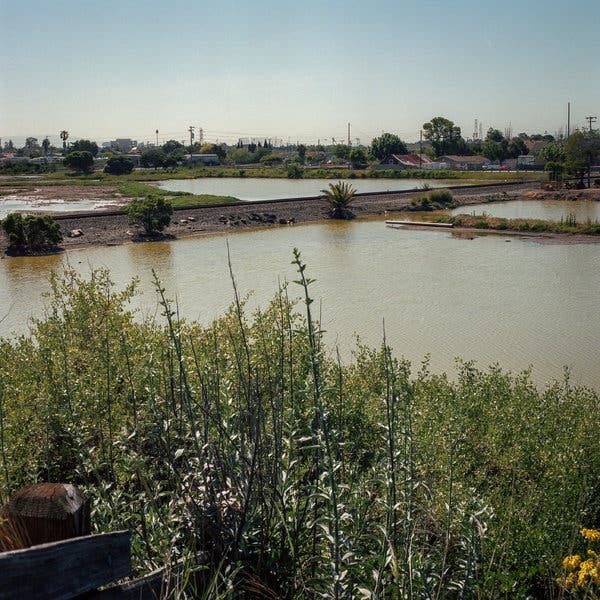 This 550-acre South Bay Asbestos Area Superfund site is located in Alviso, Calif., where three asbestos landfills were opened from 1953 to 1982. Following remediation, the site’s redevelopment grew to include two thriving business parks, commercial office space, a hotel, wetlands, open space and recreational areas such as trails and volleyball and basketball courts.