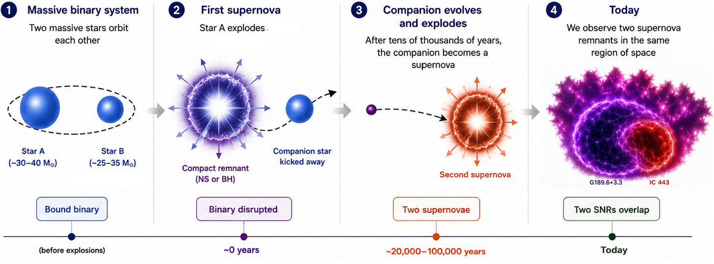 Diagram showing the life cycle of a massive binary star system, where once separated stars are eventually reunited, leading to two supernovae and overlapping supernova remnants in space over thousands of years. Diagram showing the life cycle of a massive binary star system, where once separated stars are eventually reunited, leading to two supernovae and overlapping supernova remnants in space over thousands of years.