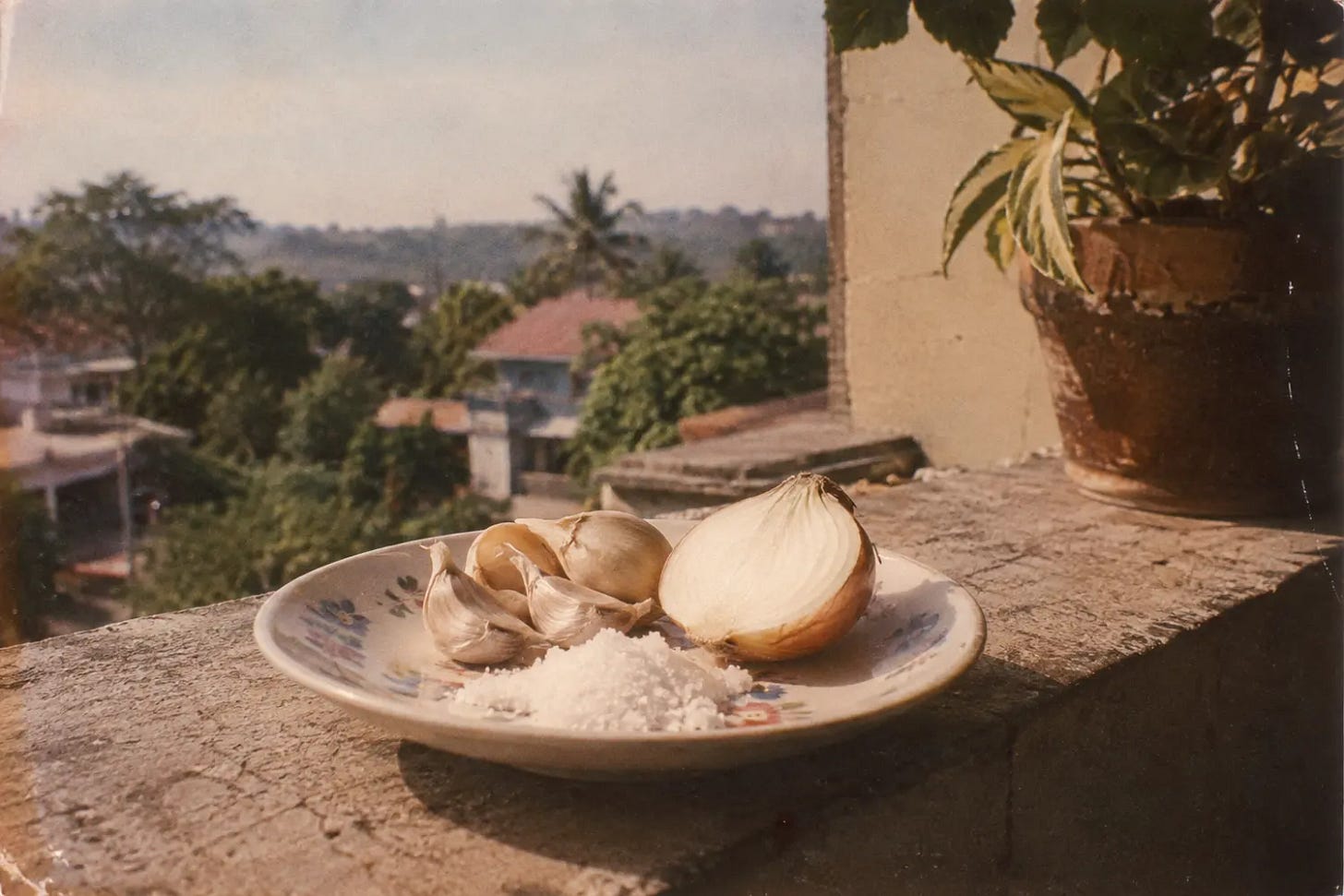 A saucer of salt, garlic, and onion