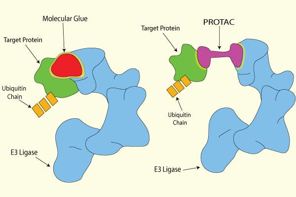 Unlocking the Power of Novel Molecules for Catalysis in Drug Discovery ...