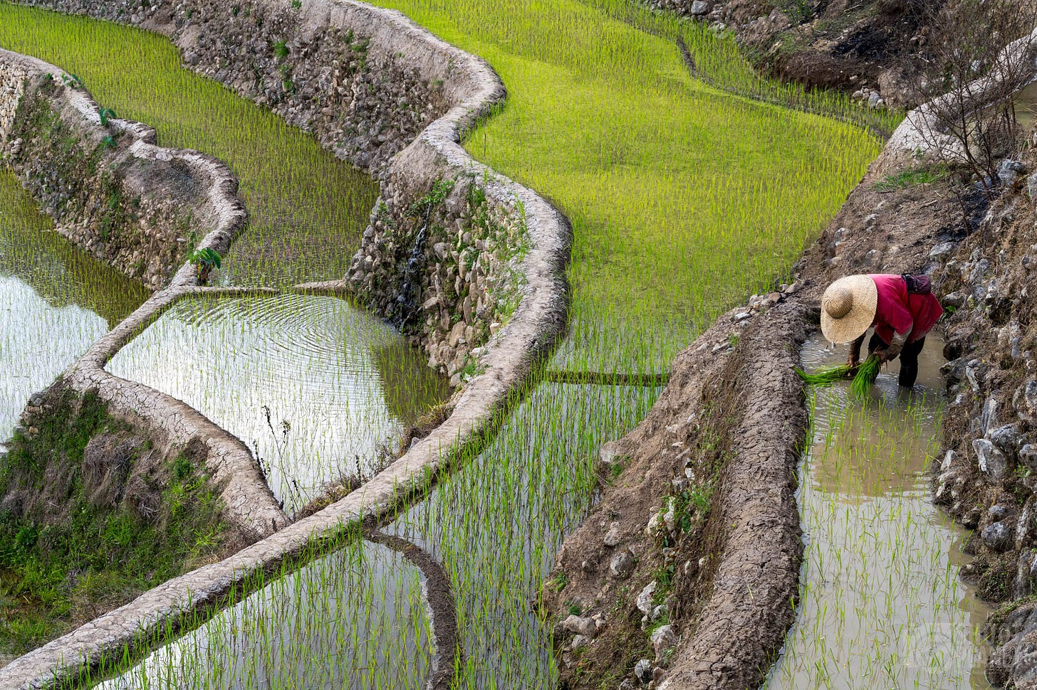 Journey Through Northern Luzon: Rice Terraces, Crater Lakes, and Highland Beauty - Shoot Planet Journey Through Northern Luzon: Rice Terraces, Crater Lakes, and Highland Beauty - Shoot Planet