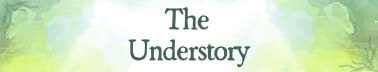 The Understory
