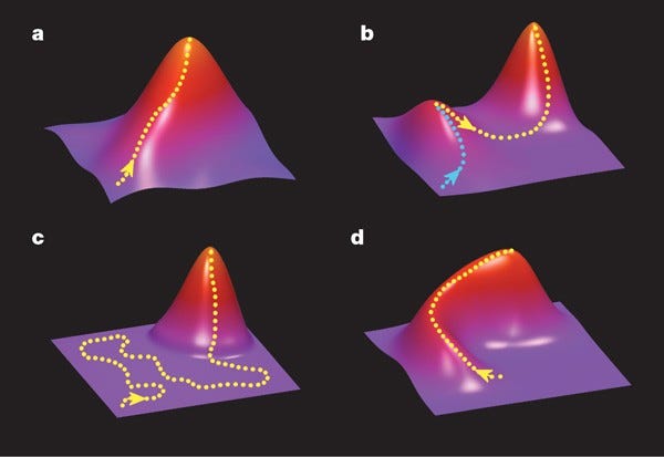 Empirical fitness landscapes reveal accessible evolutionary paths | Nature