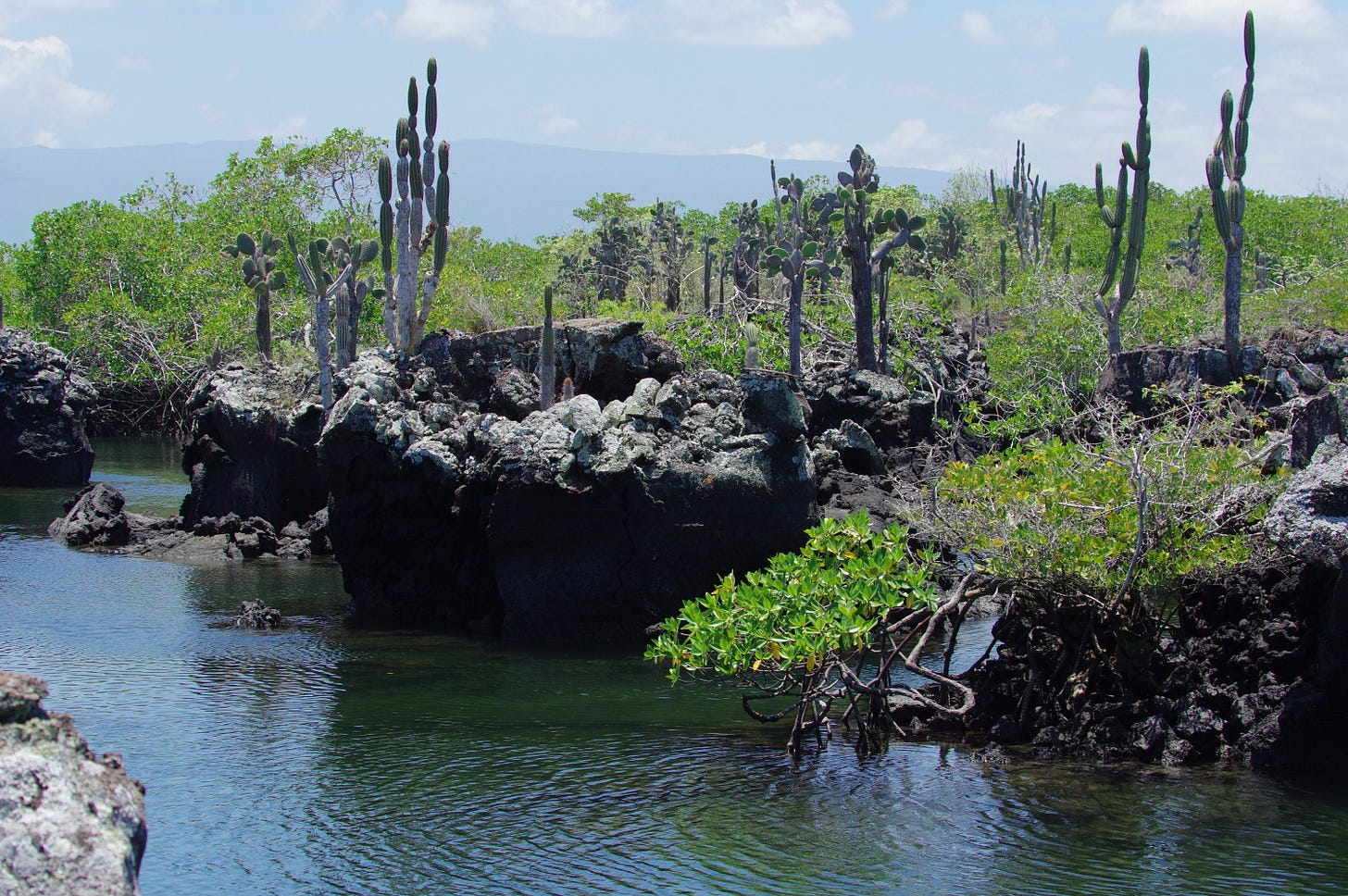 Los Tuneles, Isla Isabela, Galápagos. Photo by Bret, 3-29-16