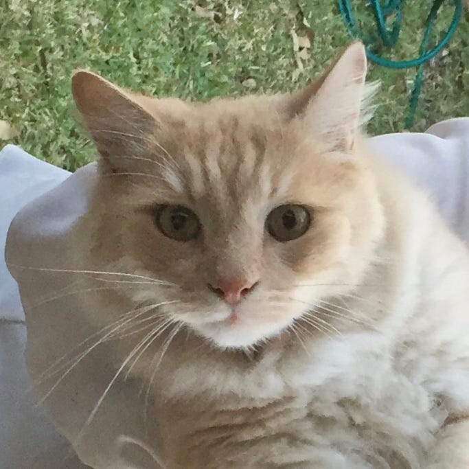 Show Me The Evidence