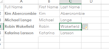 FLASH FILL options excel 2013 FLASH FILL options excel 2013