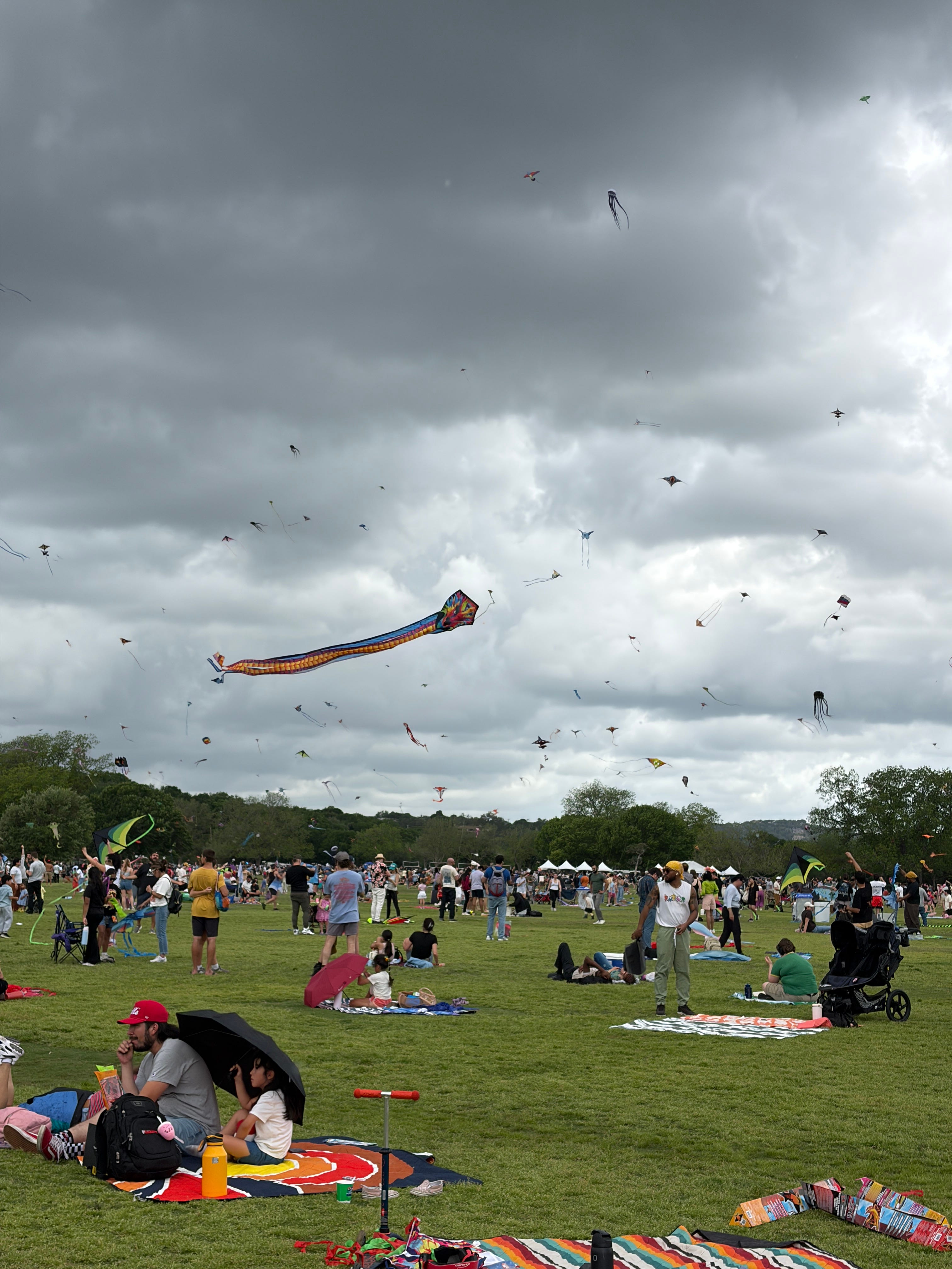 A Very Special Beach Read Update - by Alyssa Morris