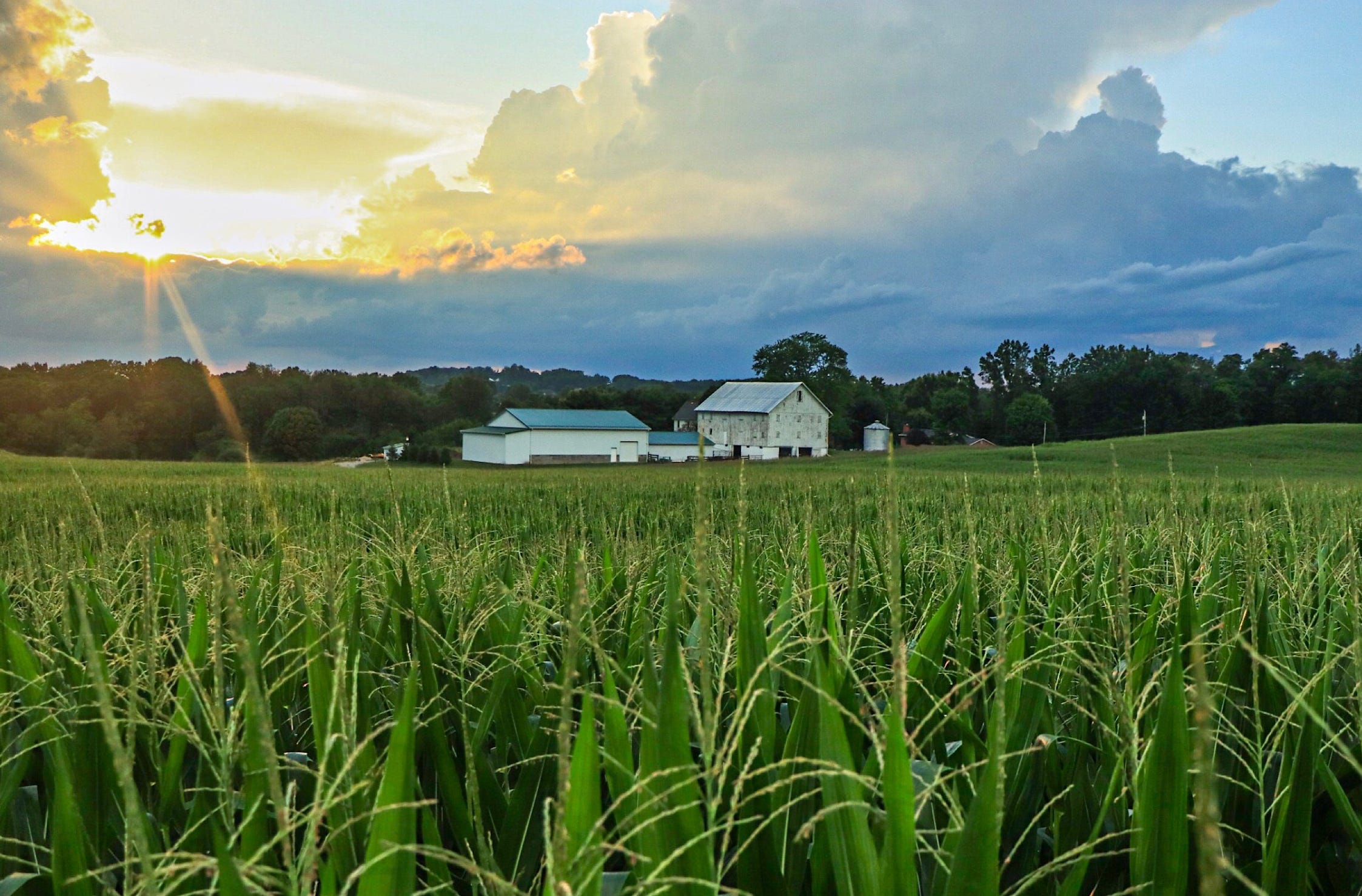 Local Weather History: The Earliest & Latest Occurrence of Humid to ...