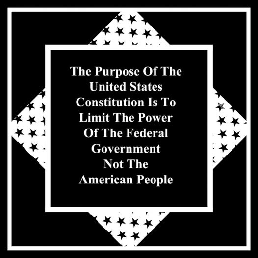 May be an image of text that says 'The Purpose Of The United States Constitution Is To To Limit The Power Of The Federal Government Not The American People'
