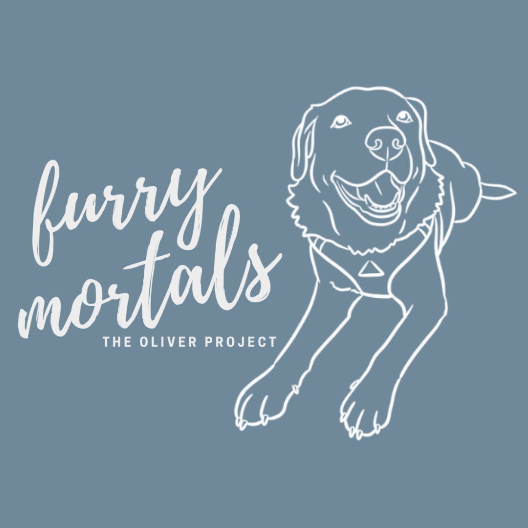 Furry Mortals Unleashed