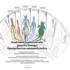 อาร์คีไทป์ (The Archetype) ไม่เท่ากับ ภาพแทนแห่งอาร์คีไทป์ (The Archetypal Image)