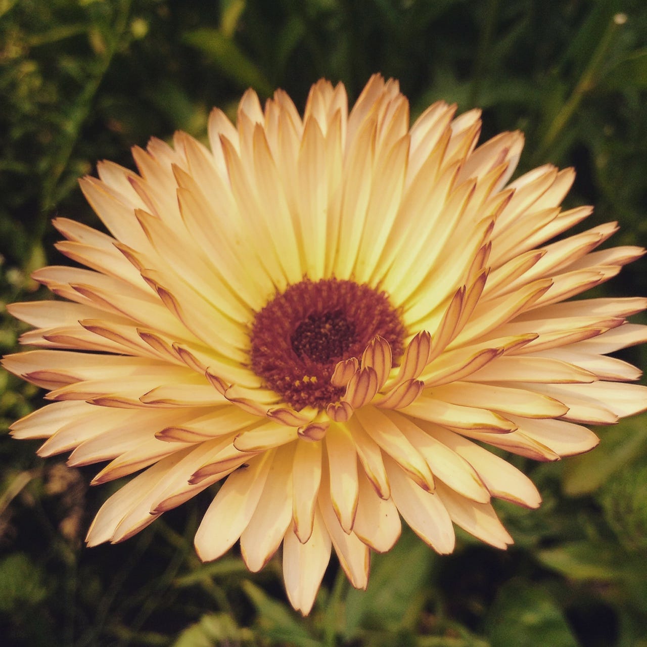 Katherine’s Substack