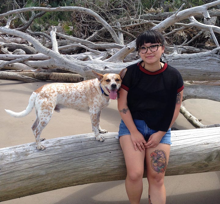 a photo of a 25 year-old Laura and a young red cattle dog sitting on a beach / the same red cattle dog 8 years later behind a small redish brown dog