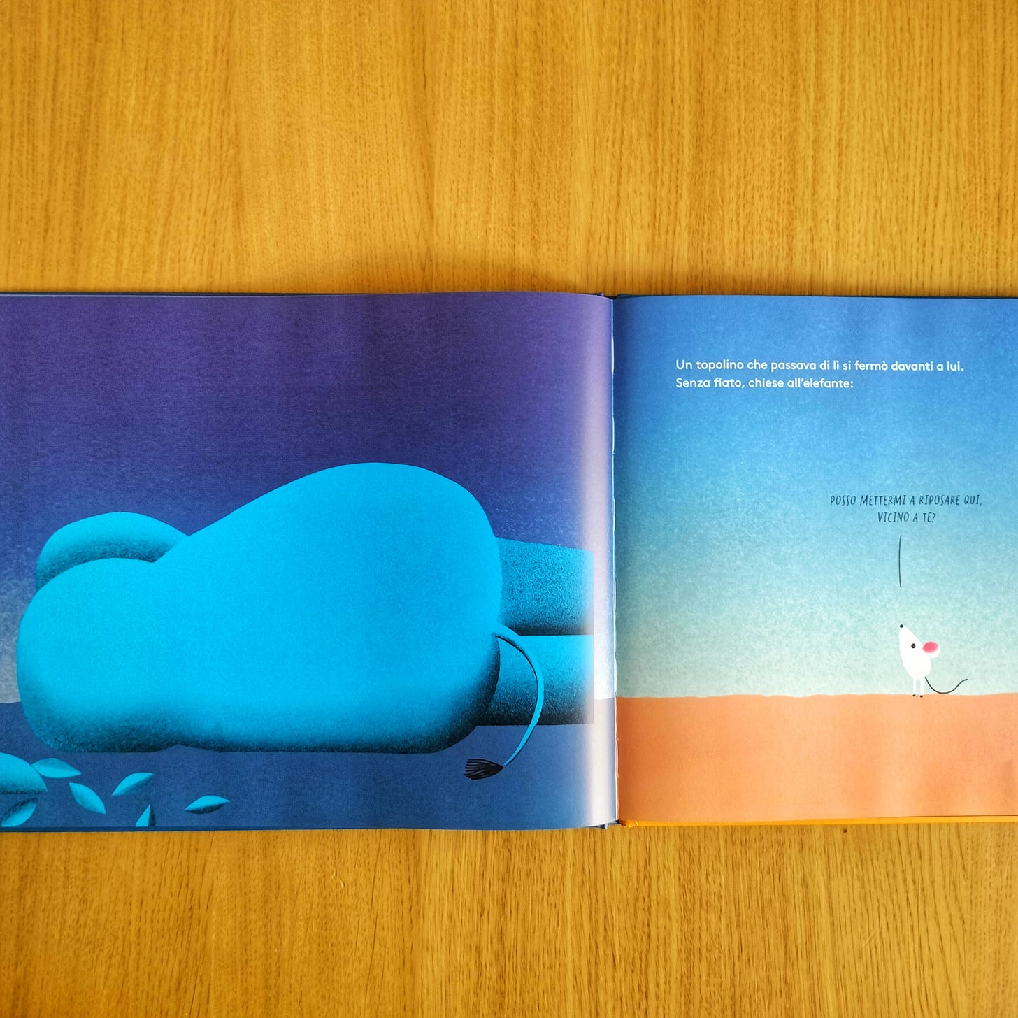 Zornista Hristova, Kiril Zlaktov, Ascoltami quando sto zitto, Orecchio Acerbo 2024; Nadine Robert, Valerio Vidali, Ascoltami Elefante, Terre di mezzo 2020.