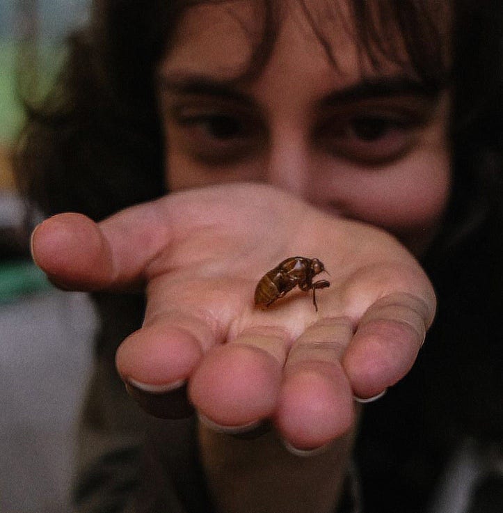 Eduardo Merino Gouffray