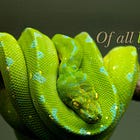 Catholics and the spirit of liberalism