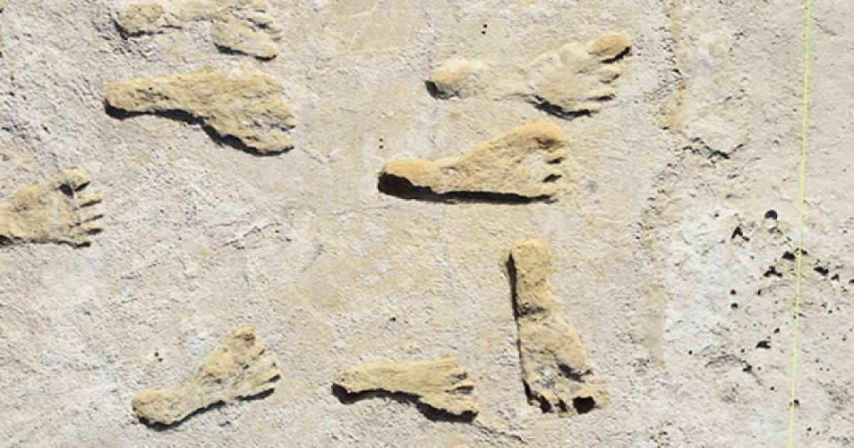 pegadas fossilizadas de 23.000 anos. especulam que sejam dois adolescentes e uma criança.