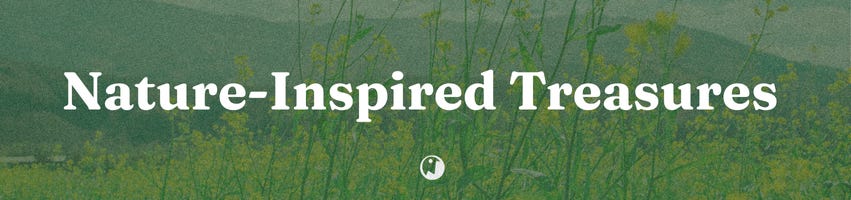 Nature-Inspired Treasures