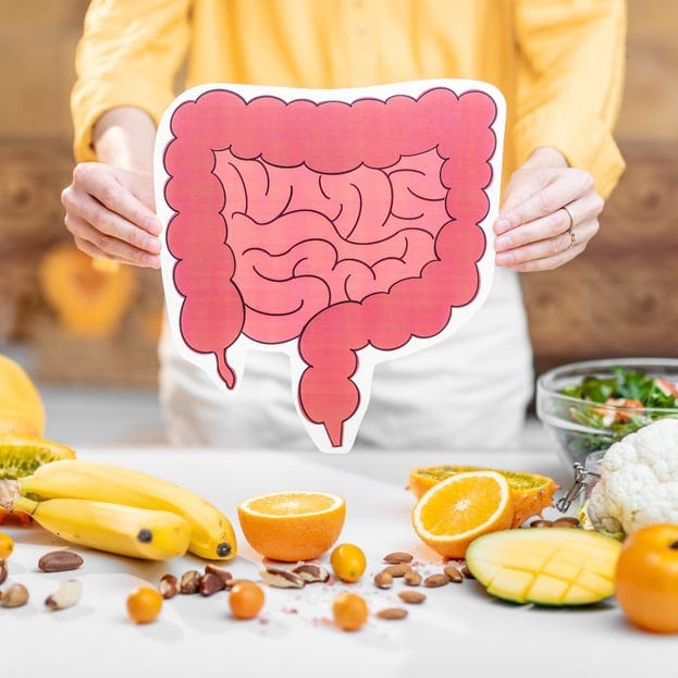 Gut_Health_Blog Gut_Health_Blog
