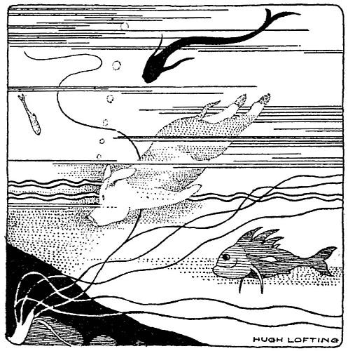 Gub-Gub dives for pearls
