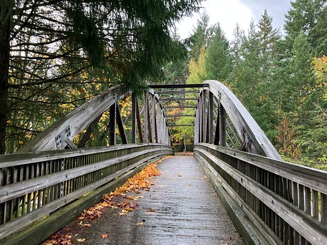 Images of Cedar Mills trail, waterfall, trees, and bridges