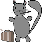 Chinchilla Squeaks
