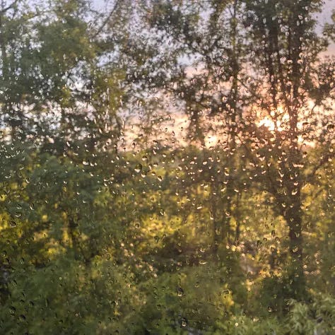 A train arriving, a emergency weather alert, rain on the window, sunset in the distance