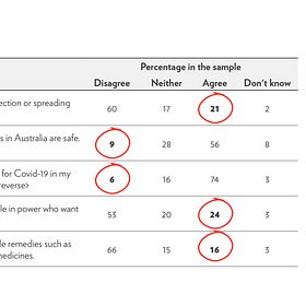 Misinformation wars: The flawed research driving bad policy
