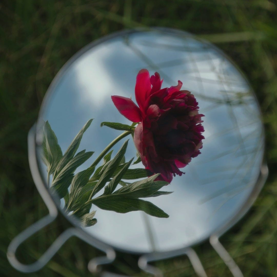 Reflections: a flower as seen in a mirror on the grass