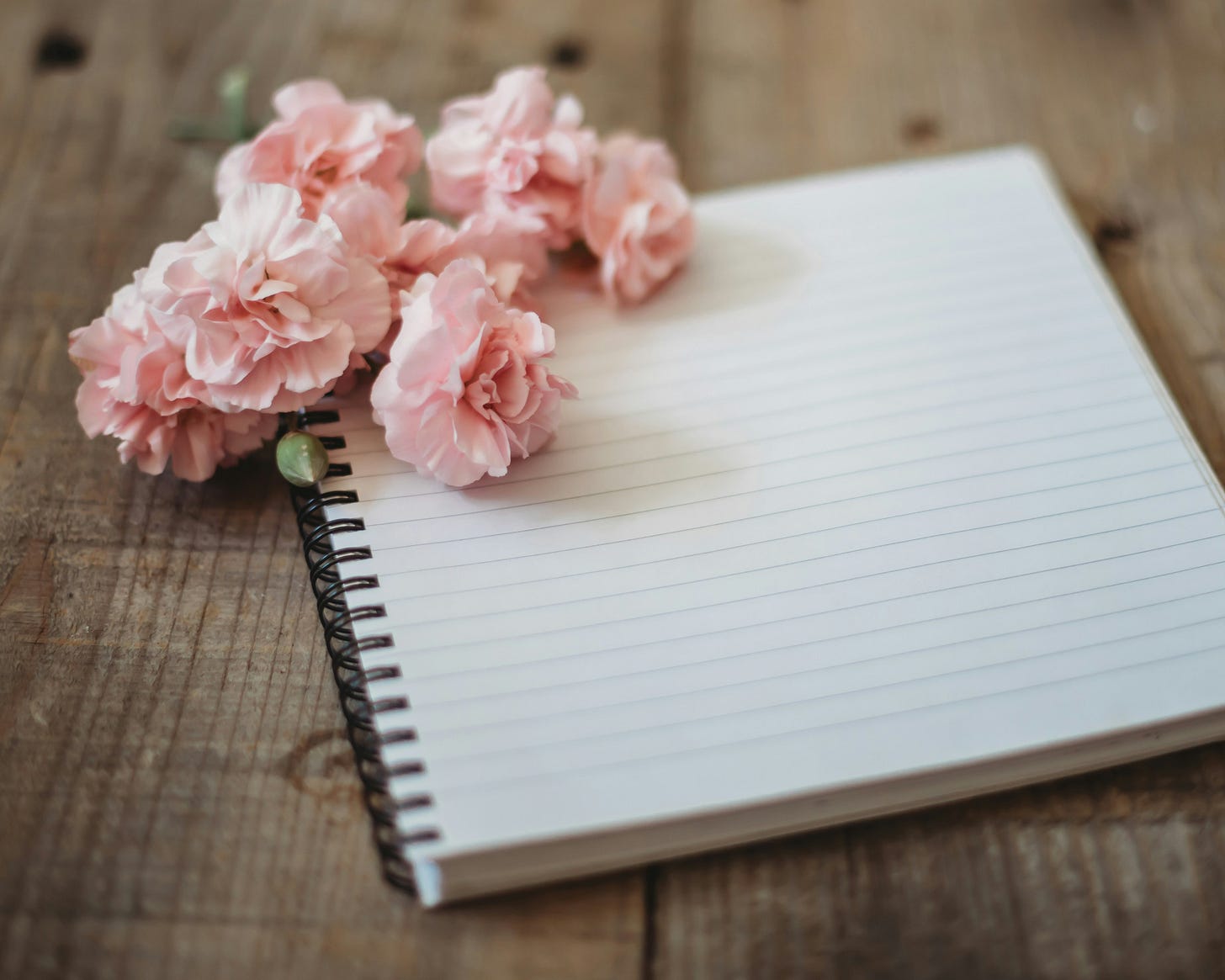 An open notebook and pink flowers. Photo by Sixteen Miles Out on Unsplash.