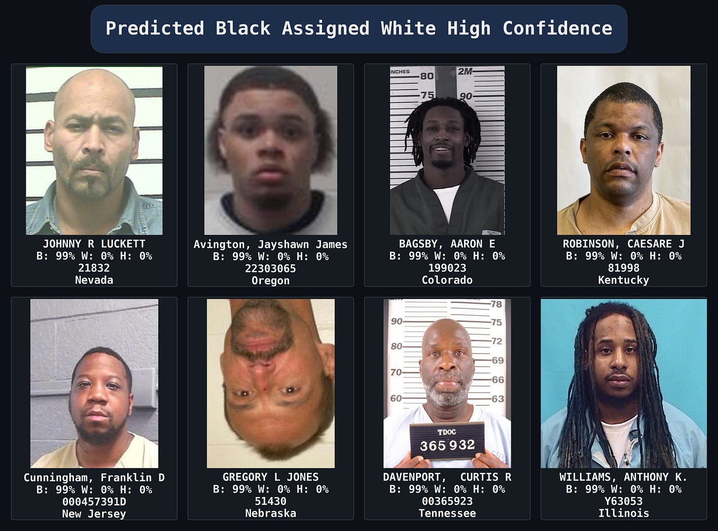 Predicted_Black_Assigned_White_High_Confidence_collage_dark Predicted_Black_Assigned_White_High_Confidence_collage_dark