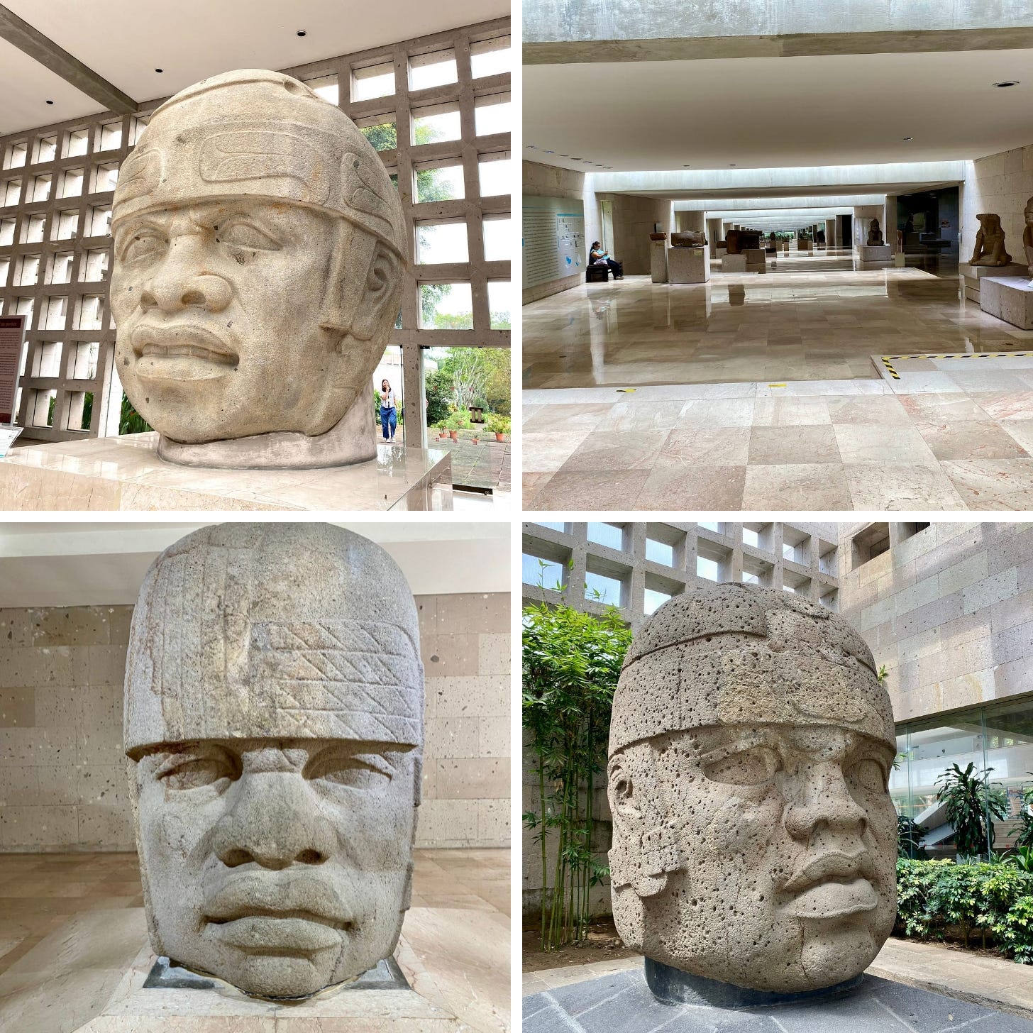 Olmec Heads at the Museo de Antropolgia Xalapa (MAX) photos by Ixchel Lunar