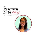 The SundayPyjamas Perspective