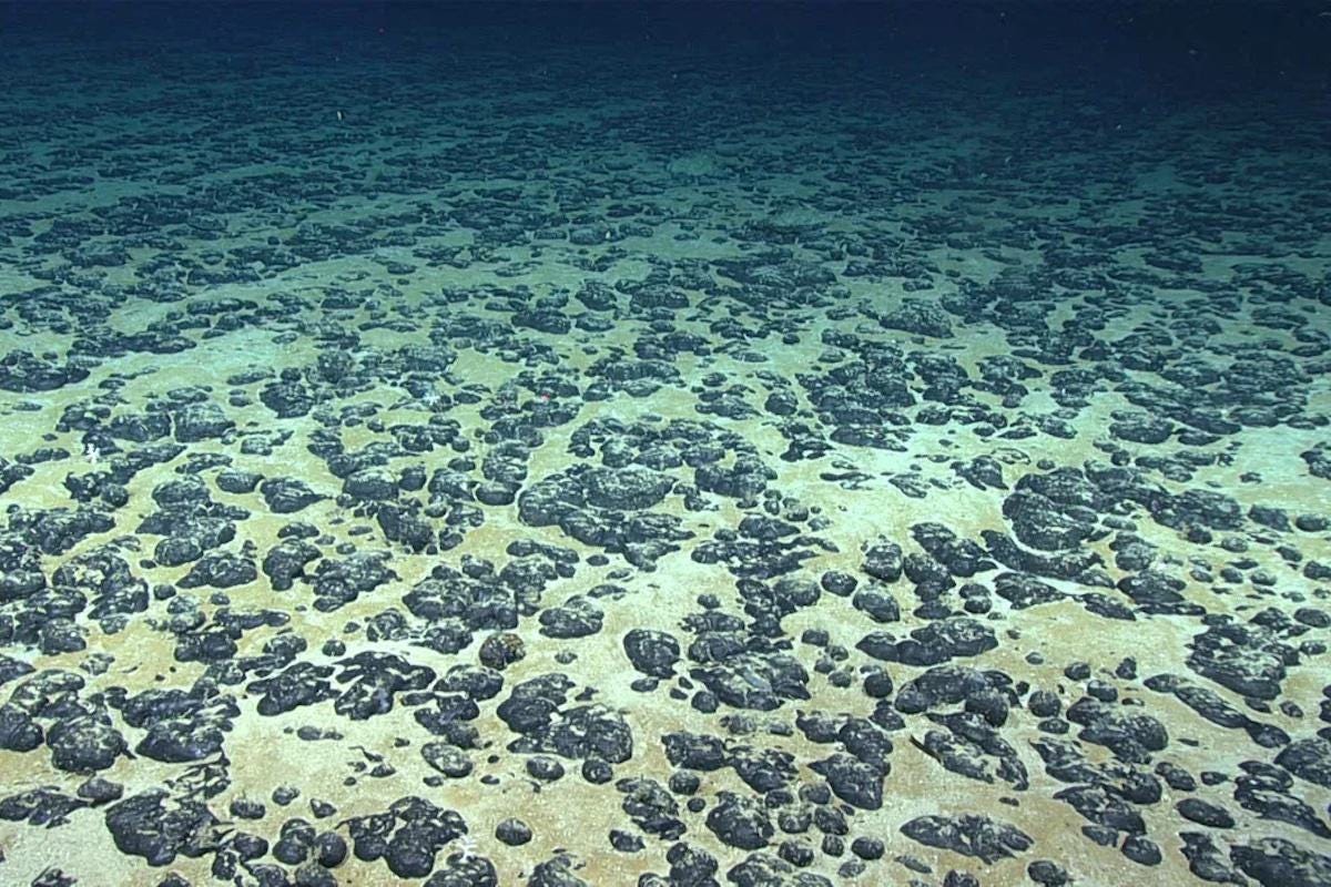 Deep Ocean Producing 'Dark' Oxygen, Study Finds - Yale E360 Deep Ocean Producing 'Dark' Oxygen, Study Finds - Yale E360
