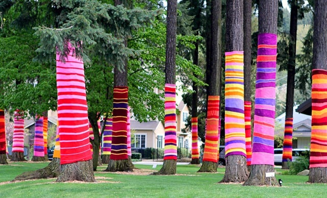 a scene with many tree trunks covered in knitted stripes cosies in celebration of yarn bobbing day